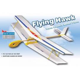 Планер біплан метальний ZT Model Sky Hawk II 420мм