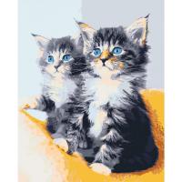 Картина за номерами. Art Craft Блакитноокі кошенята 40*50 см 11617-AC