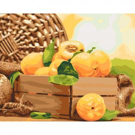 Картина за номерами. Золотистий абрикос 40 * 50см KHO5565