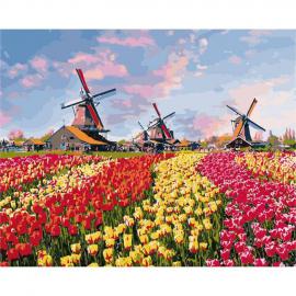 Картина за номерами Сільський пейзаж Барвисті тюльпани Голландії 40 * 50см KHO2224