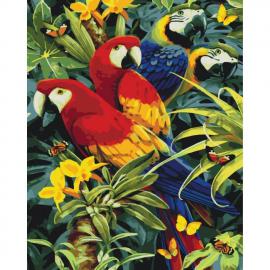 Картина за номерами. Тварини, птахи Різнобарвні папуги 40х50см KHO4028