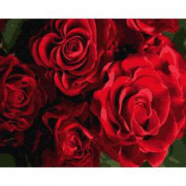 Картина по номерам. Brushme Бутоны красных роз GX24563