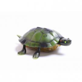 Інтерактивна черепаха на пульті управління