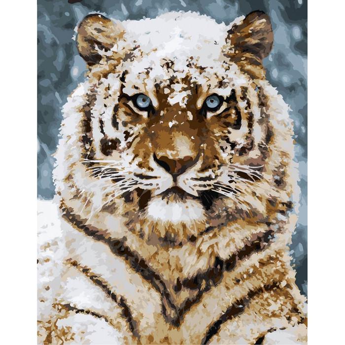 Картина по номерам.Уссурийский тигр 40*50см KHO4140