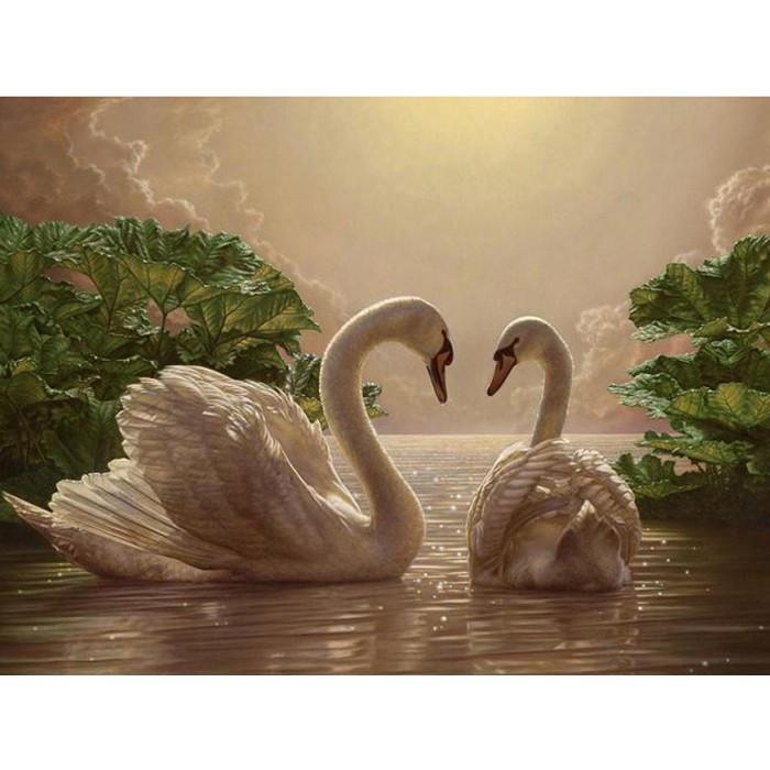Картина по номерам Пара лебедей KHO301