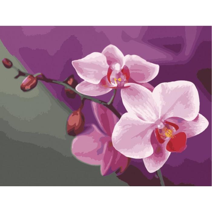 Картина по номерам. Букеты Розовые орхидеи 40*50см KHO1081
